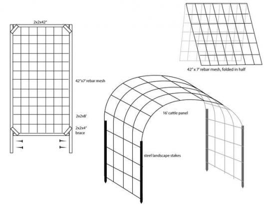 Trellises Will Completely Transform Your Garden