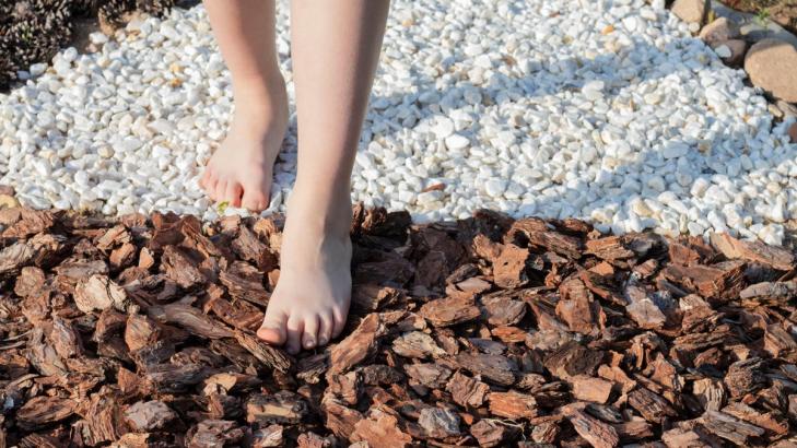 Your Yard Needs a Sensory Garden Path