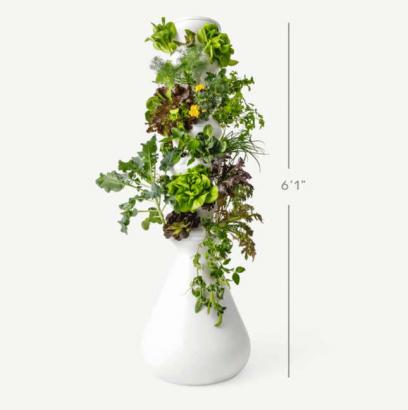 What I Wish I’d Known Before I Bought a Hydroponic Gardening Tower