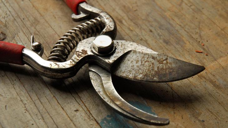 How to Revive a Rusty Pair of Gardening Shears