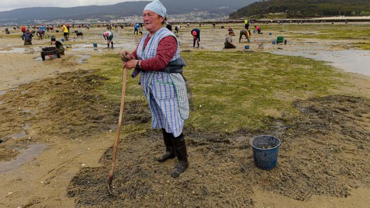 AP PHOTOS: As Spain's 'peasant farmers of the sea,' groups of women dig for clams