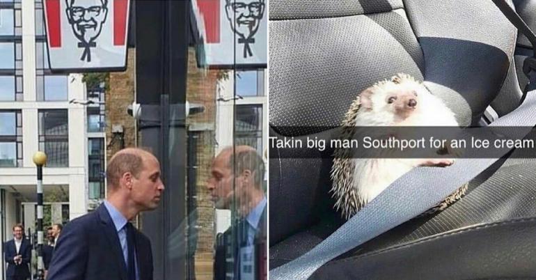 A little British humor is just the ticket, innit? (31 Photos)