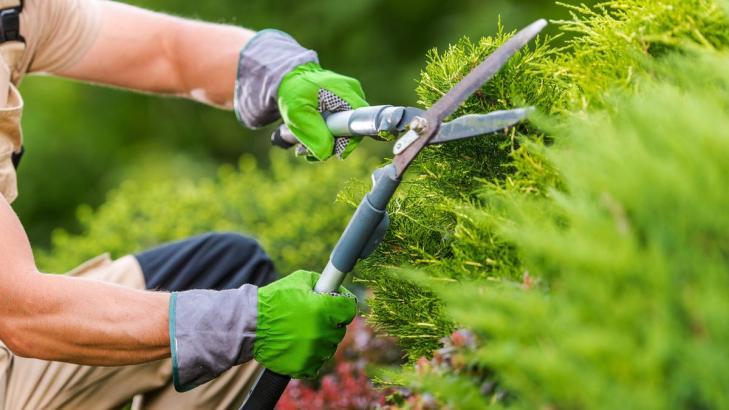 The Best Early Prime Day Deals for Gardeners