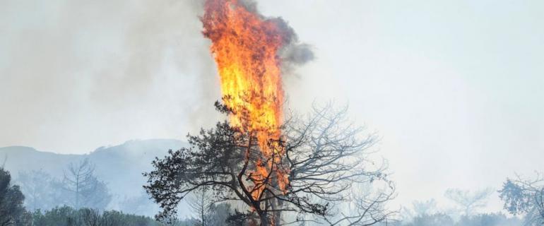 Heat wave returns as Greece grapples with more wildfire evacuations