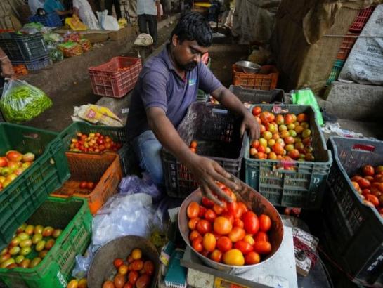 Prices Skyrocket, Punjab Governor Takes Tomato Off Menu At Raj Bhavan