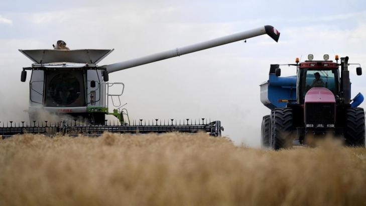 China reopens trade in Australian barley in a new sign of improved relations