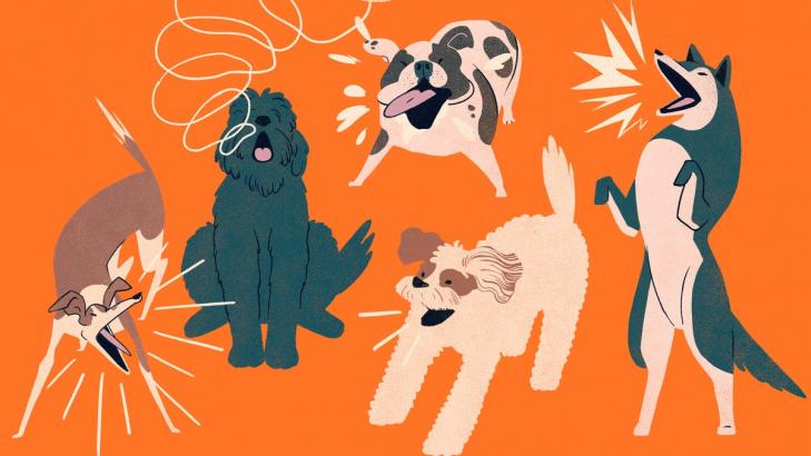 You Can Stop Your Neighbor's Dog From Barking Incessantly