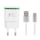 5V/2A Quick Charger EU Plug USB Charger Power Adapter + USB 3.1 Type-C Fast Charge Cable