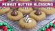 Peanut Butter Blossoms SPECIAL HOLIDAY EPISODE! Mind Over Munch