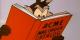 Wile E. Coyote Is Getting A Movie