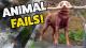 ANIMAL FAILS! | The Funniest Pet Clips | November 2018