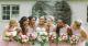How to Be the Ultimate Maid of Honor