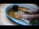 Could Detox Foot Baths Actually Remove Toxins From Your Body