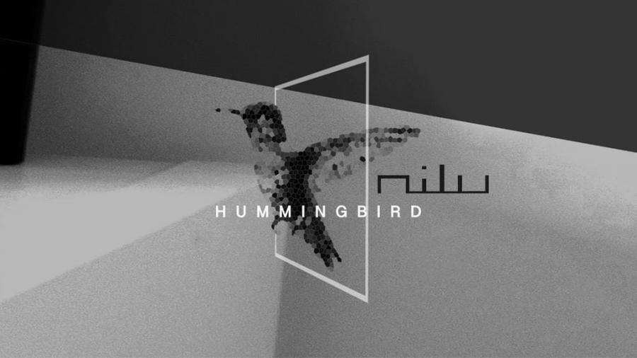 Hummingbird-Nilu.jpg