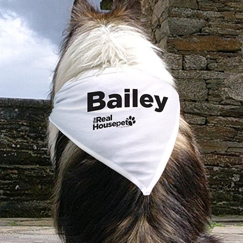 Personalized-Pet-Bandana.jpg