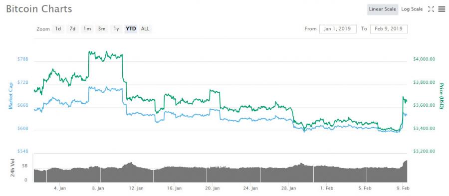 bitcoinytd.jpg