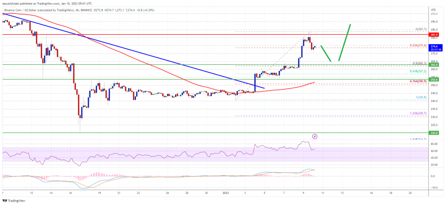 Binance-Coin-BNB.png