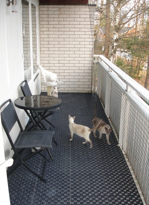 This is how one of our members secured their balcony using a net. Read more about Kitten Proofing Your Home.