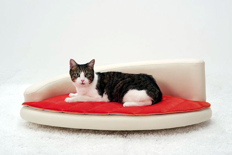Petiture Sofa For Cats
