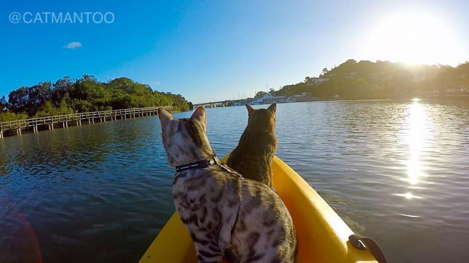 Didga and Boomer riding in kayak