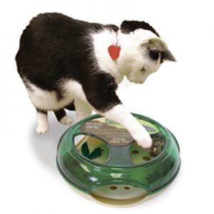 Prevent Cat Obesity