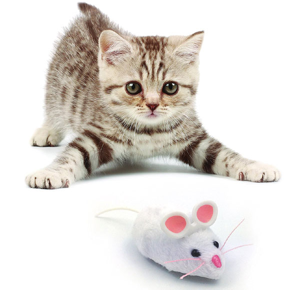 Hexbug-Mouse-Robotic-Cat-To.jpg