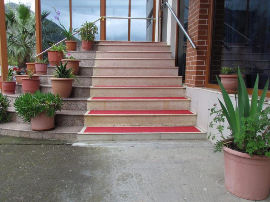stair-treads-1024x768.jpg
