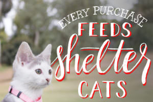 shelter_cats_graphic2-300x200.jpg